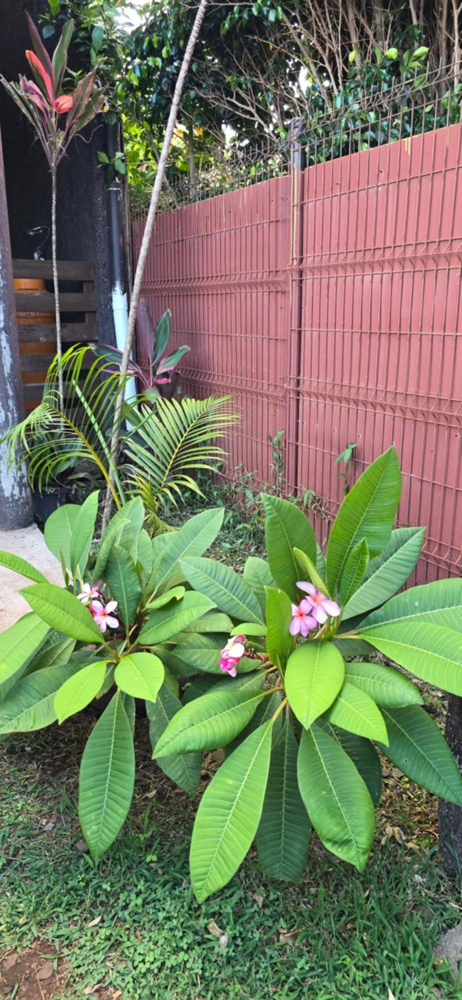 Apartamentos Tupuna Lodge 汉格罗阿 外观 照片