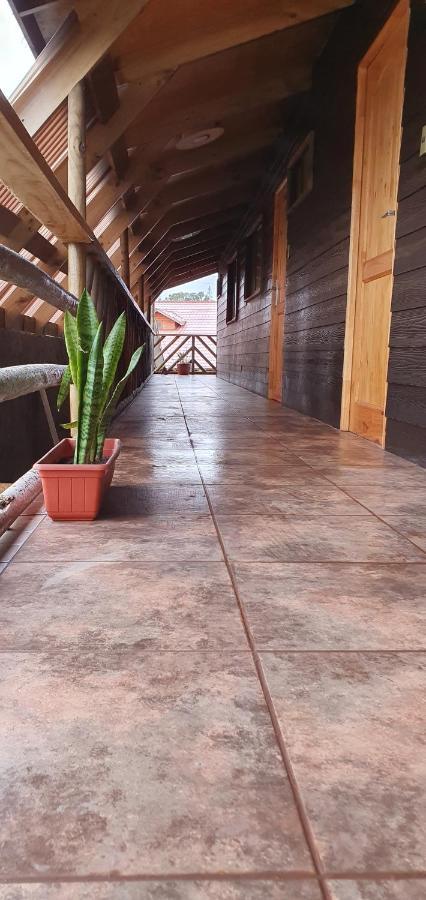 Apartamentos Tupuna Lodge 汉格罗阿 外观 照片